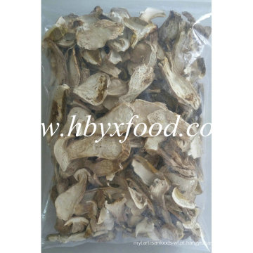 Boletus de cogumelos secos de alta qualidade